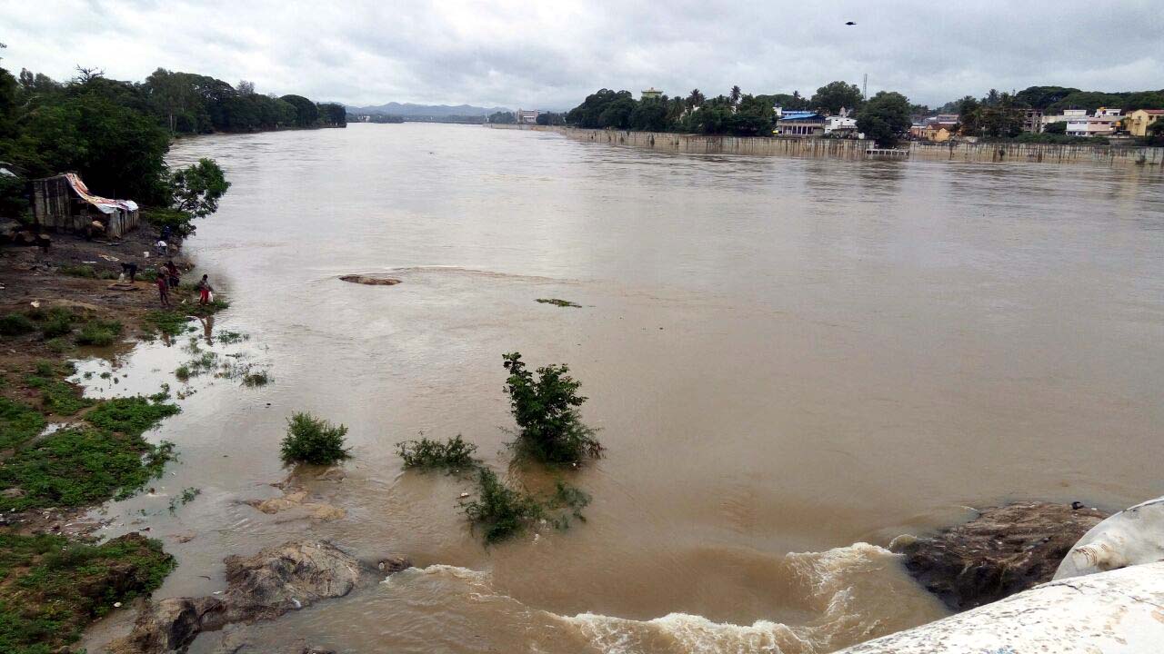 ಜಿಲ್ಲೆಯಾದ್ಯಂತ ವರ್ಷಧಾರೆಯ ಅಬ್ಬರ: ನದಿಗಳ ಆರ್ಭಟ